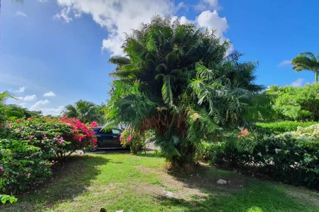 Grand Studio Tropical Idealement Situe, Jardin Et Piscine Apartment Saint-Francois  Exterior photo