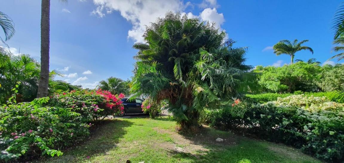 Grand Studio Tropical Idealement Situe, Jardin Et Piscine Apartment Saint-Francois  Exterior photo